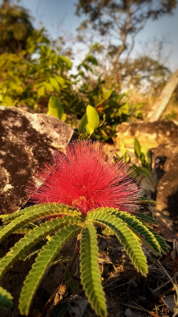 trilha ecobocaina formosa goias