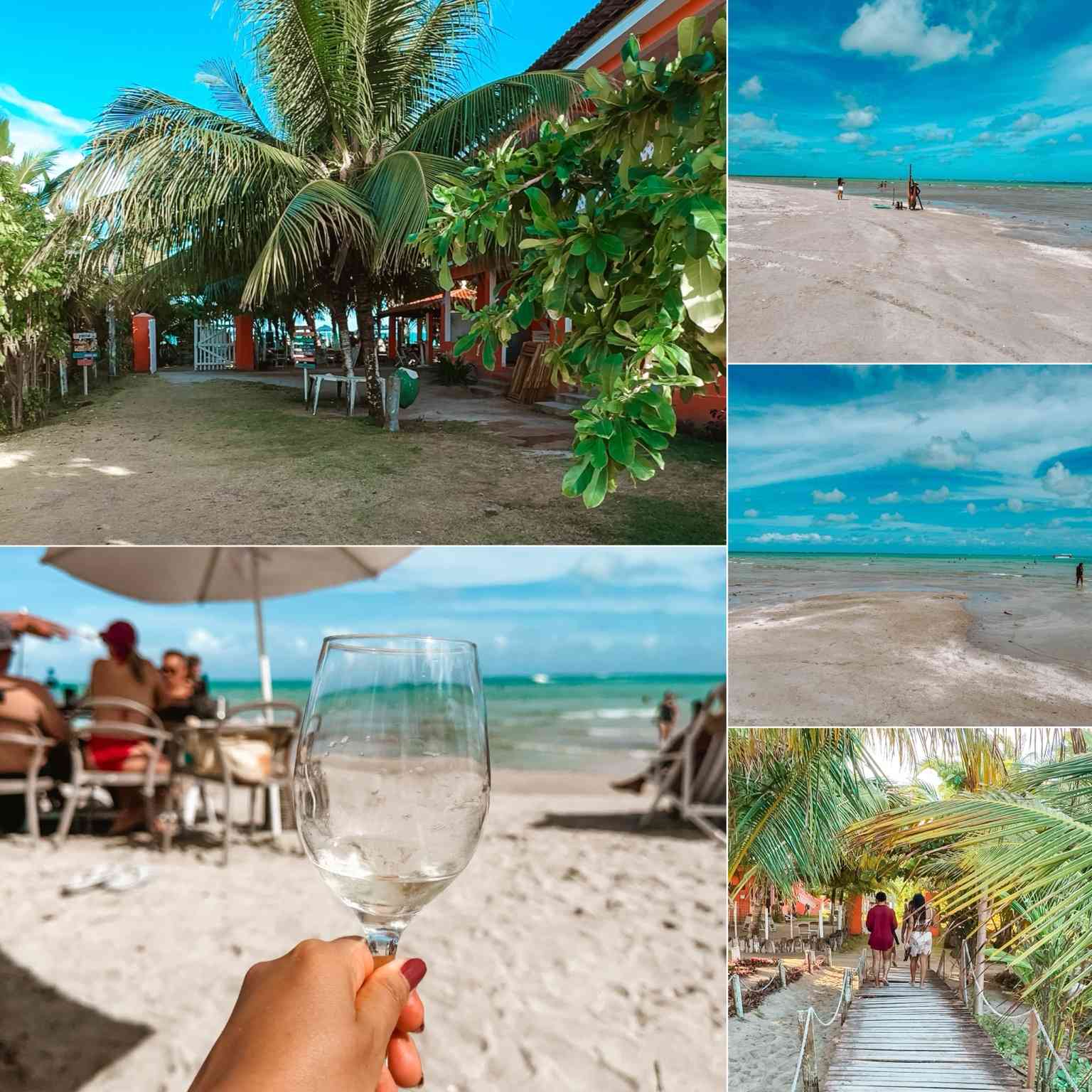 praias de maragogi praia do xareu