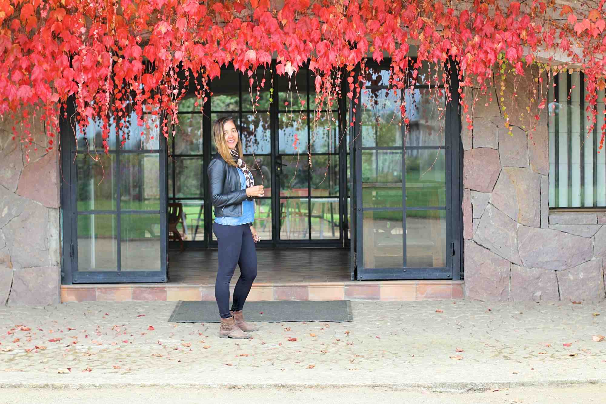 vinicola emiliana chile