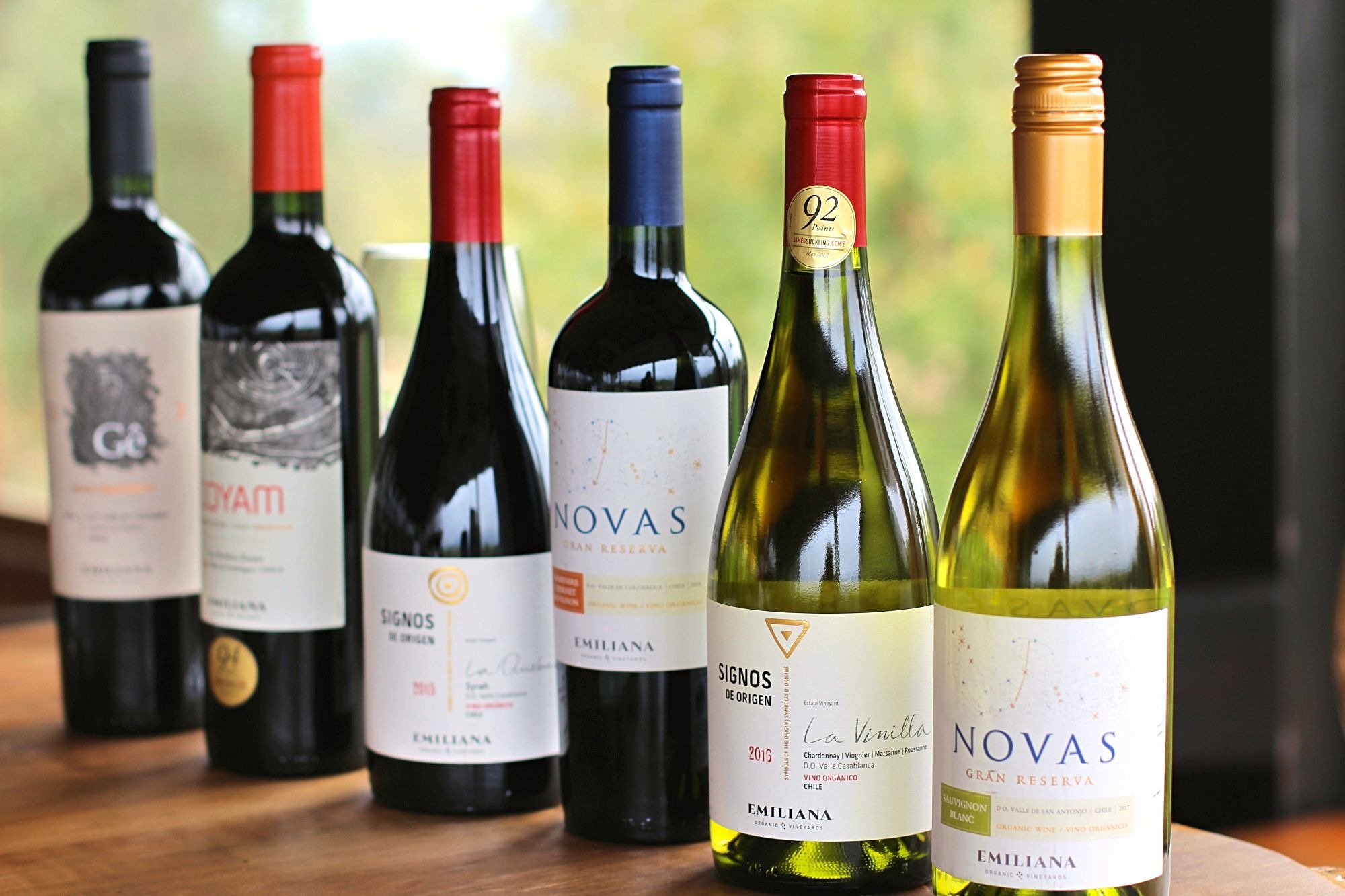 Vinicola Emiliana Valle de Casablanca