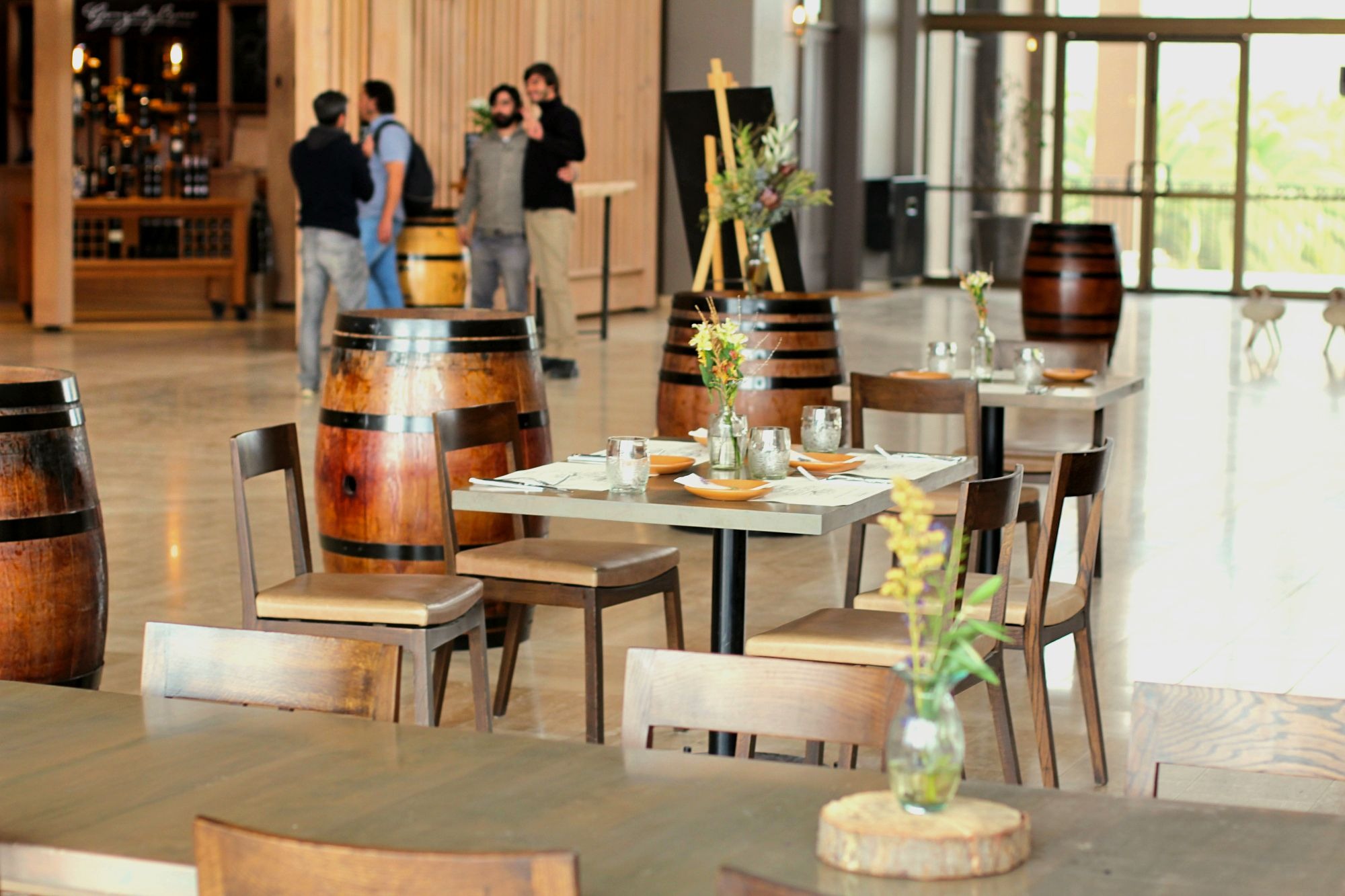 vinicola veramonte chile