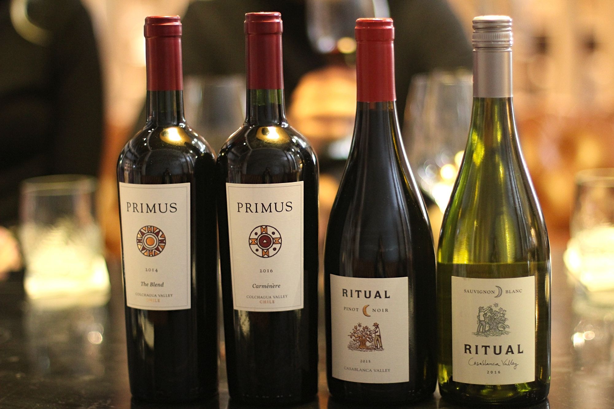 vinicola veramonte chile