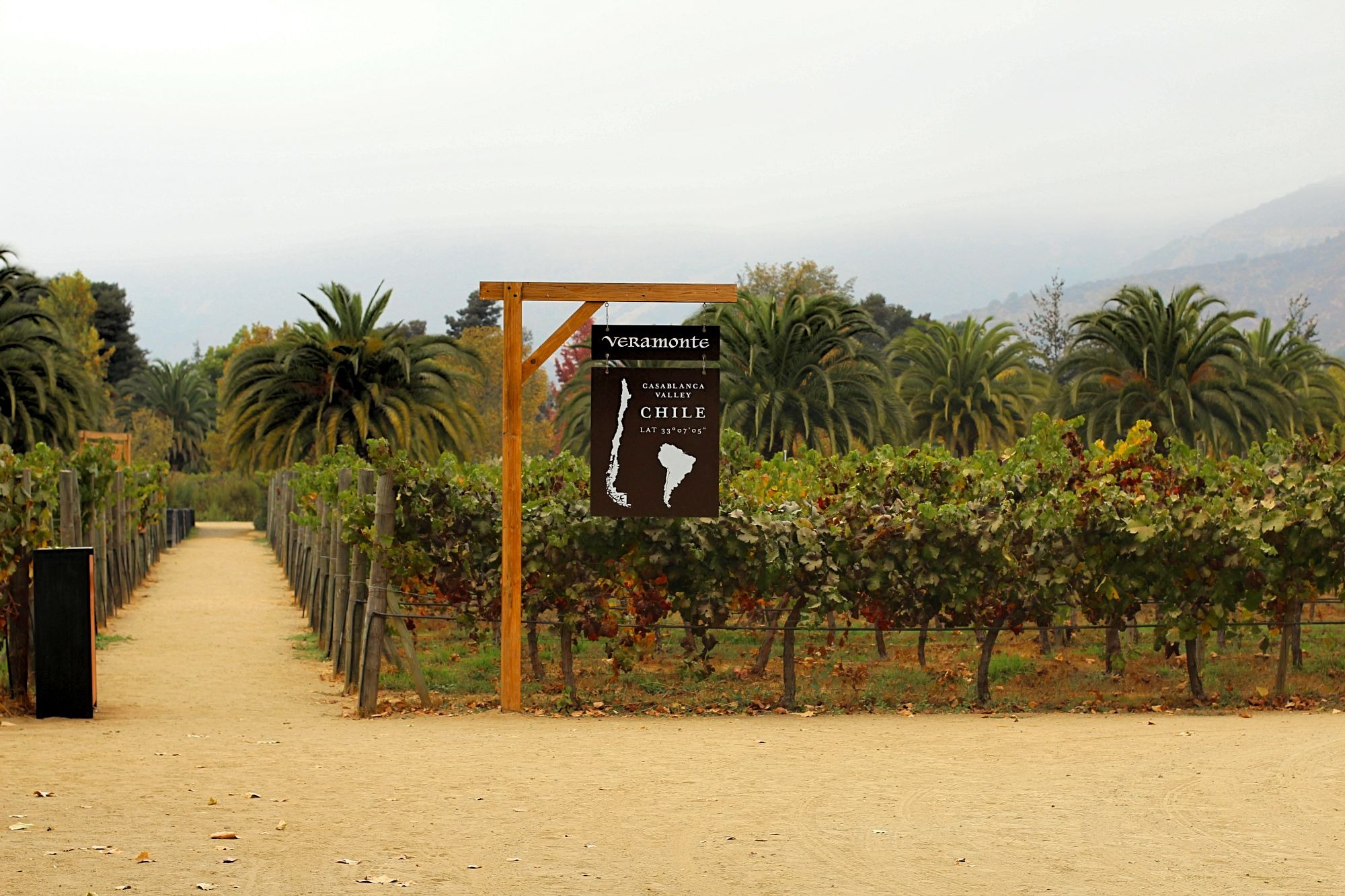 vinicola veramonte valle de casablanca chile