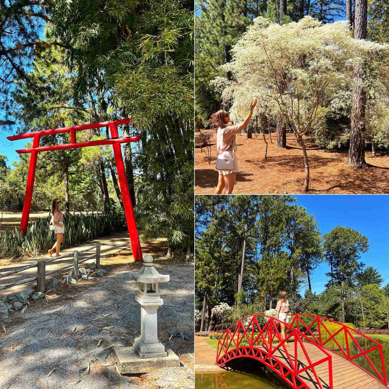 onde se hospedar em brasilia