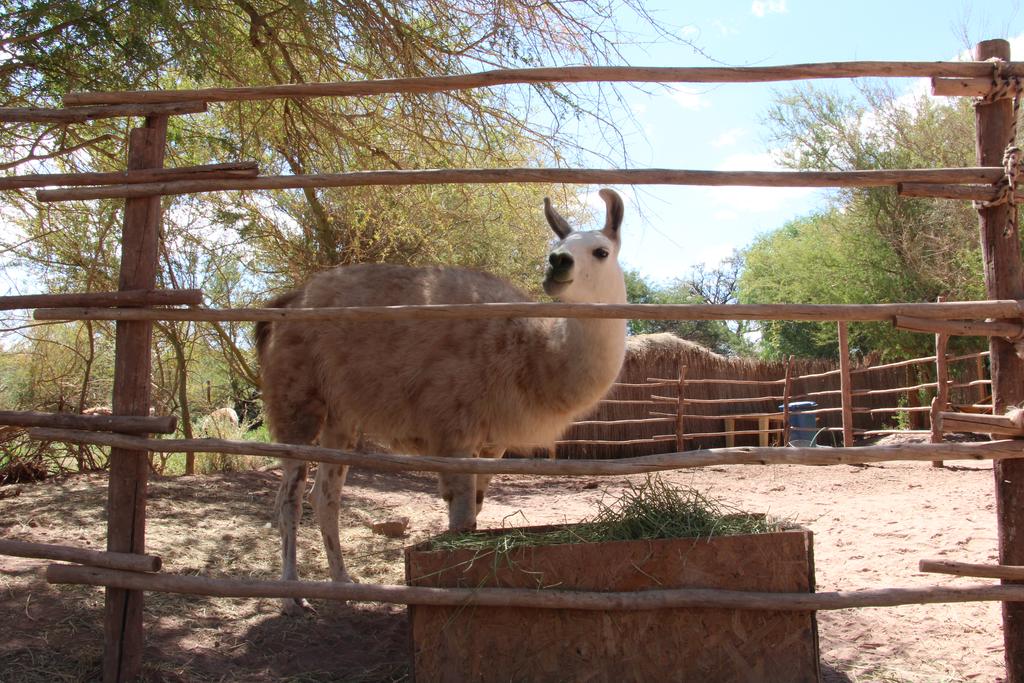 onde ficar no atacama