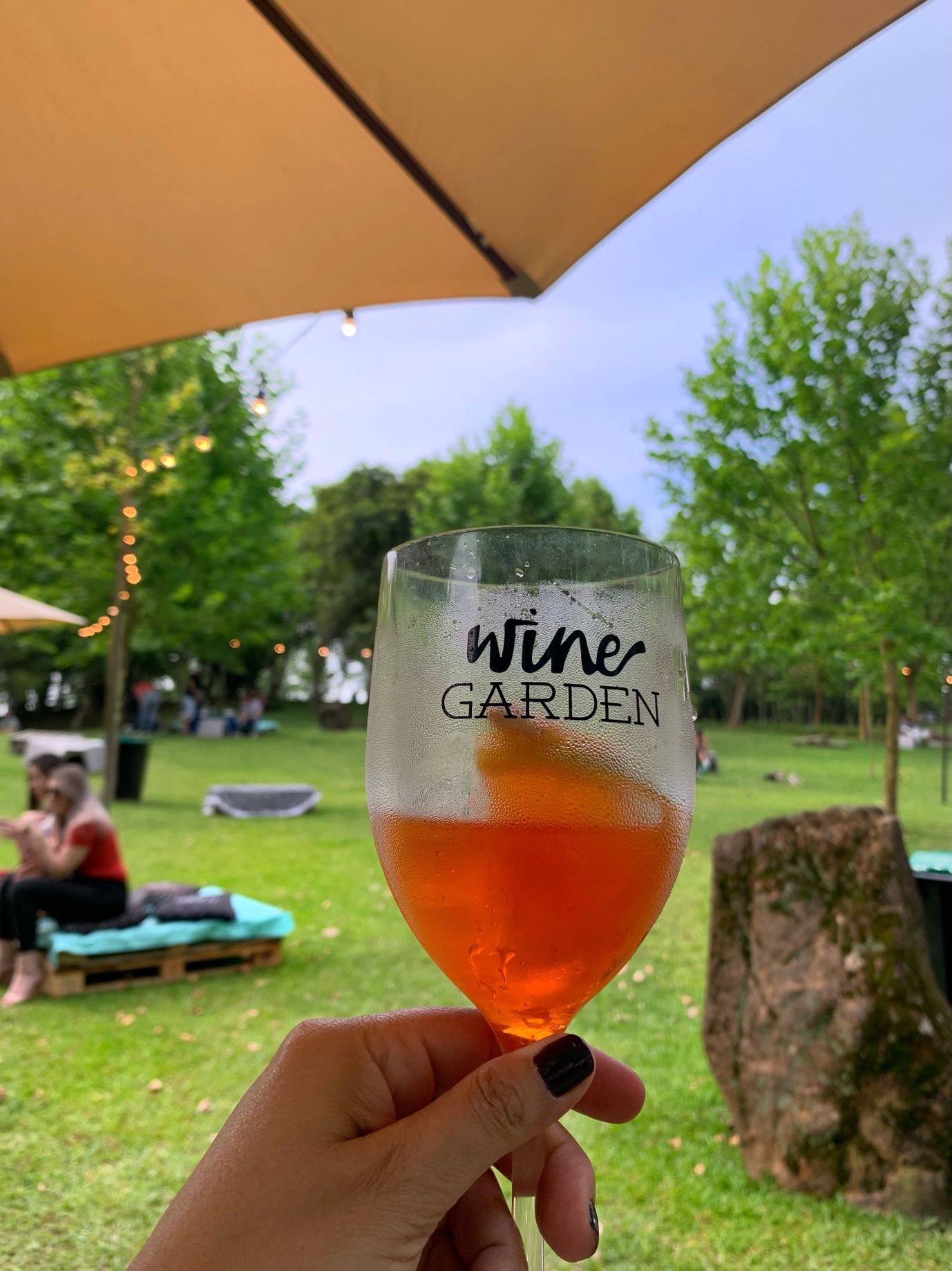 wine garden miolo